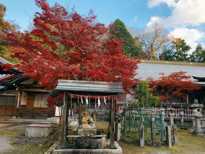 ⛩️ 타무케야마 하치만구